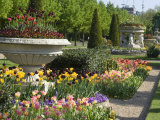 Avenue Gardens  Regent's Park  London  England  United Kingdom  Europe