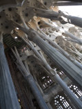 Interior with Columns and Windows  La Sagrada Familia Church  Barcelona  Catalonia  Spain  Europe
