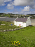 Old Farmhouse in Rosapenna  County Donegal  Ulster  Republic of Ireland  Europe
