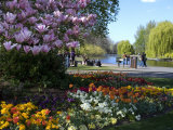 Regent's Park  London  England  United Kingdom  Europe