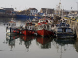 Fishing Boats  Howth Harbour  County Dublin  Republic Ireland  Europe