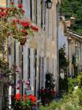 Street of Houses  St Jean De Cole  Dordogne  France  Europe