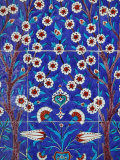 Iznik Tiles in Topkapi Palace  Istanbul  Turkey  Europe