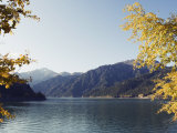 Autumn Leaves at Tian Chi  Xinjiang Province  China  Asia