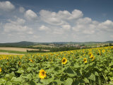 View Falkenstein Castle and Surrounding Countryside  Niederosterreich  Austria  Europe