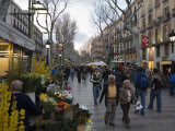 Las Ramblas in the Evening  Barcelona  Catalonia  Spain  Europe