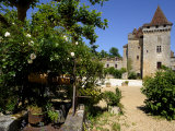 Old Well with Le Chateau De La Marthonie in the Background  St Jean De Cole  Dordogne