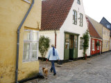 Woman Walking with a Dog in Ribe Historic Center  Ribe  Jutland  Denmark  Scandinavia  Europe