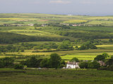 Landscape Near Reynoldston  Gower  Wales  United Kingdom  Europe