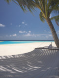 Hammock on Beach  Maldives  Indian Ocean  Asia