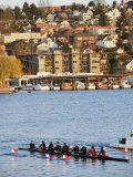 Rowing Team on Lake Union  Seattle  Washington State  United States of America  North America