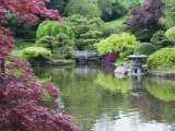 Japanese Garden  Brooklyn Botanical Garden  Brooklyn
