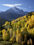 Sneffels Range with Fall Colors Near Dallas Divide  Uncompahgre National Forest  Colorado