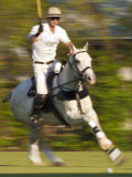 Polo  Houston  Texas  United States of America  North America