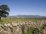 Abbasanta High Plateau  Sardinia  Italy  Europe