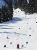 Giant Slalom Racers at Whistler Mountain Resort
