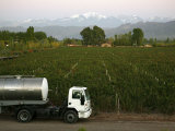 View over the Vineyards of Vistalba Winery and the Highest Peak of the Andes Mountains