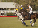 Polo  Houston  Texas  United States of America  North America