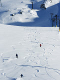 Powder Skiing at Whistler Mountain Resort