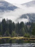 Morning Mist at Port Renfrew  Vancouver Island  British Columbia  Canada  North America