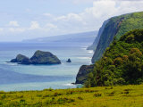 Pololu Valley  Kapaau Coast  Big Island  Hawaii  United States of America  Pacific  North America