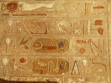 Cartouches of Thutmose III  1479-25 18th Dynasty New Kingdom Egyptian Pharaoh  and Hieroglyph