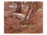 Stone Bench in the Garden of St Paul Hospital  Saint-Remy  1889