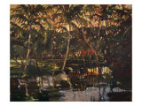 Tropical Reflections