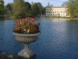 Royal Botanic Gardens  Kew  Greater London