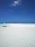 Dhoni and Sand Bank  Male Atoll  Maldives  Indian Ocean  Asia