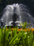 Fountain  Hyde Park  Sydney  New South Wales  Australia  Pacific