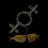 Two Tetra Fish Bubble Blow Two Connected Female Symbols
