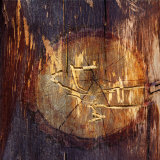 Woodworm Hieroglyphics