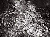 Raindrops Falling Formering Circular Shapes