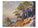 Saint -Tropez  le Sentier de Douane  1905
