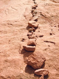 Row of Red Rocks on Red Sand