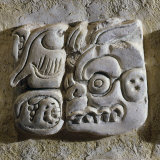 Mayan Glyphs  Stuccowork  Found inside Temple XVIII  Mexico