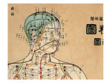 Acupuncture Points and Meridians of Human Body