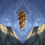 Floating Douglas Fir Cone over Symmetrical Cliffs and Symmetrical Cloud Pattern in Sky