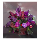Colorful Bouquet of Flowers