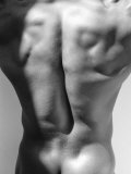 Muscular Shot of Male Back
