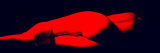 Red Nude Rear View