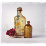 Still Life of a Dry Rose and Bottles