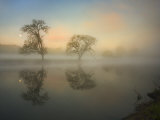 Trees Reflected in Lake