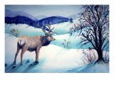 Large Stag Surveys Valley