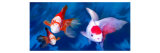 Three Carp Stare Out