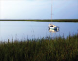 Serene Morning I