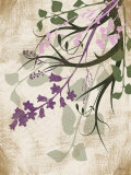 Lavender and Sage Florish II