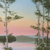 Cooper Sunset Birches