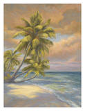 Tropical Beach